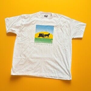 Vintage 90s Lancaster Pennsylvania Amish Screen Stars Tee Shirt Size 2XL